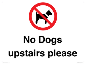 No Dogs upstairs please 